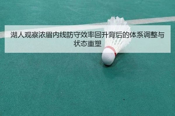 湖人观察浓眉内线防守效率回升背后的体系调整与状态重塑